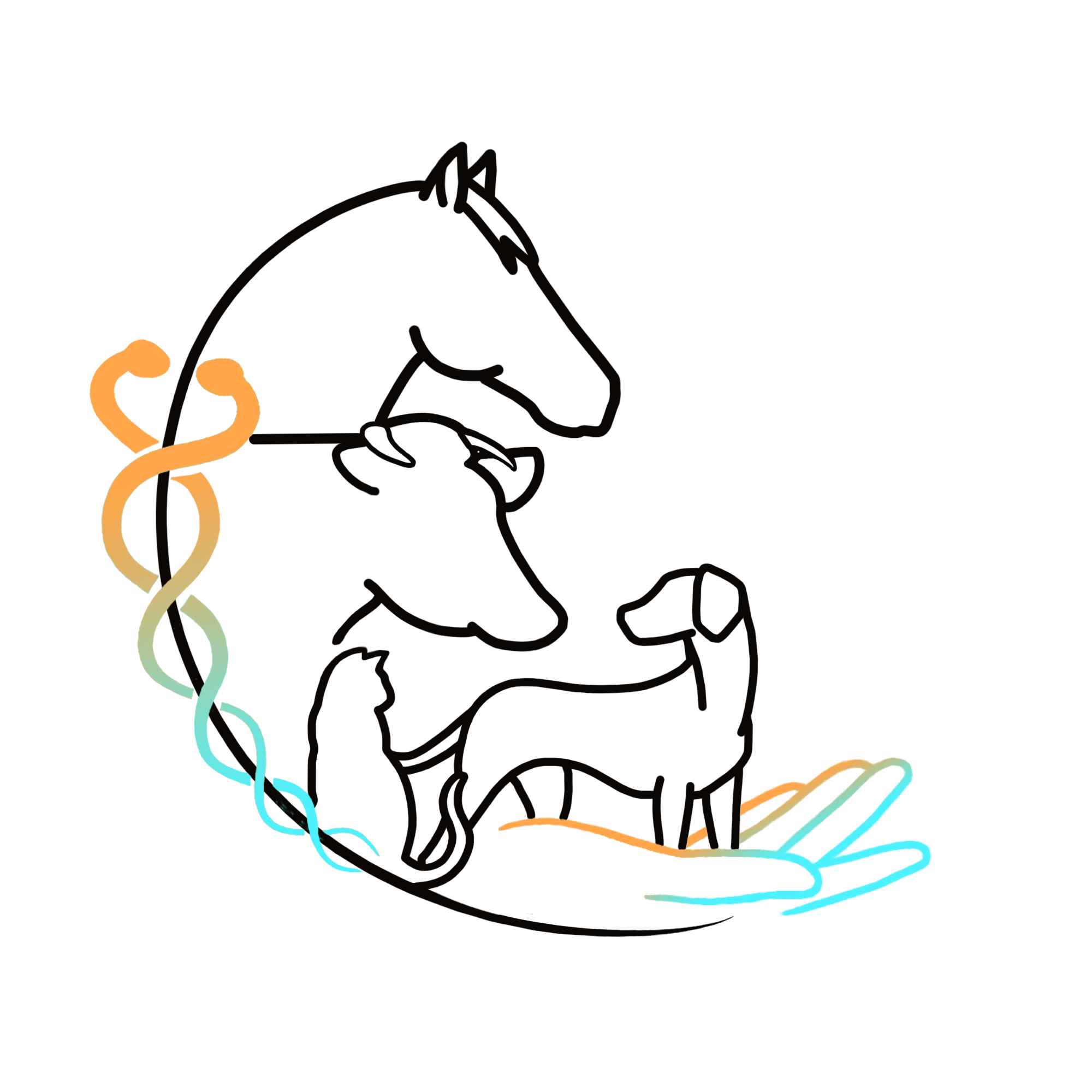 Léana Fortin Ostéopathe Animalier